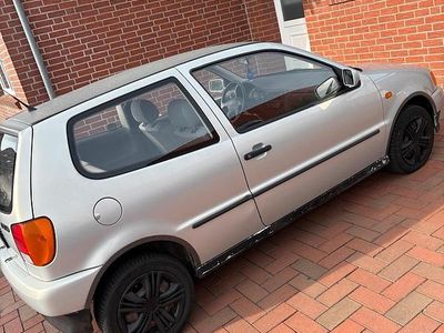 Usata VW Polo 60 CV (44 kW) 1999 Argento Utilitaria