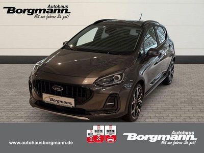 Gebraucht Ford Fiesta Active 125 PS (91 kW) 2023 Metallic) (grau Kleinwagen