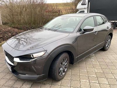 gebraucht Mazda CX-30 CX-30SKYACTIV-G 2.0 M-Hybrid Aut.