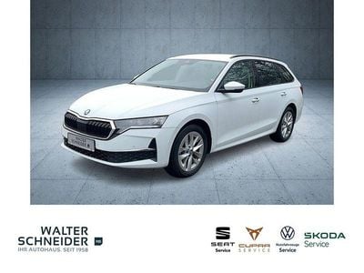 Gebraucht Skoda Octavia Selection 150 PS (110 kW) 2025 Moonweiß perleffekt Kombi