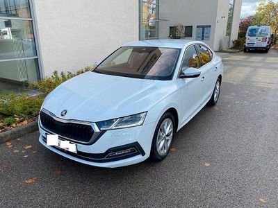 Gebraucht Skoda Octavia Style 150 PS (110 kW) 2022 Weiß Limousine