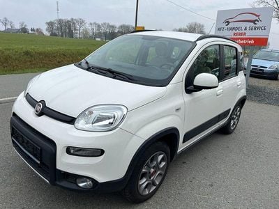 Usata Fiat Panda 4x4 Wild 86 CV (63 kW) 2013 Bianco Utilitaria