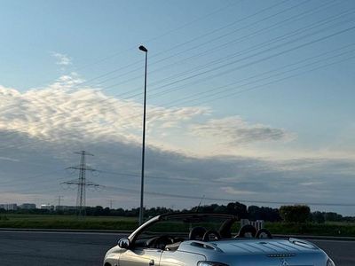 Gebraucht Peugeot 206 CC 137 PS (100 kW) 2001 Grau Cabrio