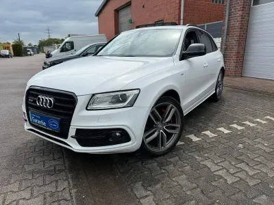 Gebraucht Audi SQ5 Advanced 313 PS (230 kW) 2016 Weiß SUV