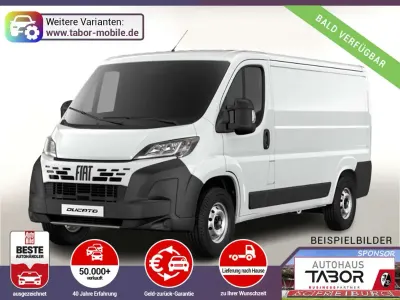 Neu Fiat Ducato 120 PS (88 kW) 2026 Weiss Van