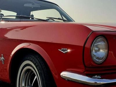 Rot Gebraucht 1966 Ford Mustang Coupé | 28.850 €