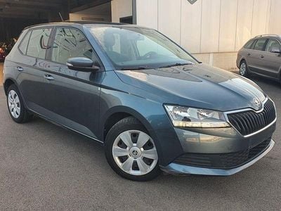 Gebraucht Skoda Fabia Ambition 75 PS (55 kW) 2019 Grau Kleinwagen