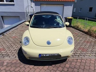 VW Beetle