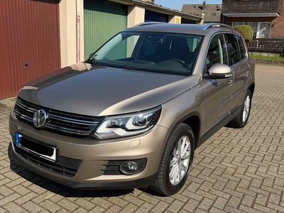 Gebraucht VW Tiguan Sportline 160 PS (117 kW) 2013 Gold SUV