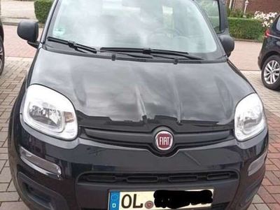 gebraucht Fiat Panda 1.2 Easy