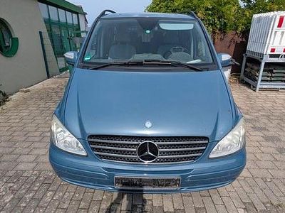 Mercedes Viano