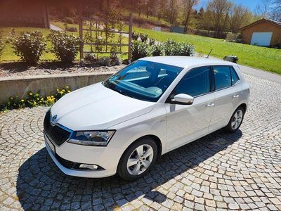 Gebraucht Skoda Fabia Ambition 95 PS (69 kW) 2021 Weiß Kleinwagen