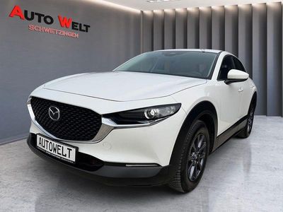 Gebraucht Mazda CX-30 Prime-Line 150 PS (110 kW) 2024 Weiß SUV