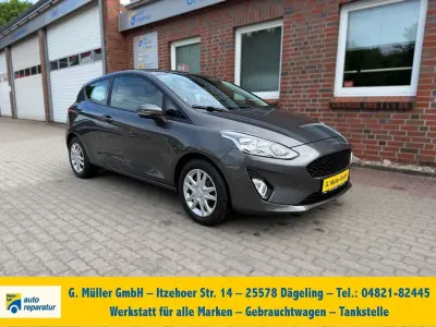 Gebraucht Ford Fiesta Cool & Connect 101 PS (74 kW) 2017 Grau Kleinwagen
