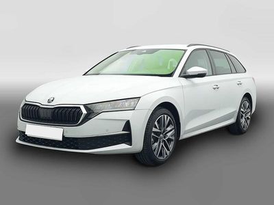 Usata Skoda Octavia Selection 150 CV (110 kW) 2024 Bianco Station wagon