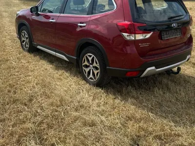 Gebraucht Subaru Forester