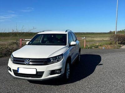Gebraucht VW Tiguan Life 140 PS (102 kW) 2013 Weiß SUV
