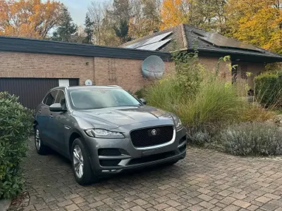 Gebraucht Jaguar F-Pace 179 PS (131 kW) 2019 Grau SUV
