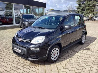 Gebraucht Fiat Panda 69 PS (50 kW) 2022 Schwarz Kleinwagen