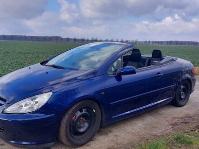 gebraucht Peugeot 307 CC Cabrio