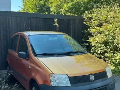 Gebraucht Fiat Panda 55 PS (40 kW) 2009 Orange Kleinwagen
