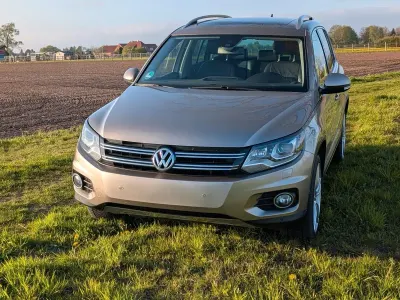 Używany VW Tiguan Life 177 KM (130 kW) 2013 Beżowy SUV