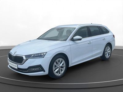 Gebraucht Skoda Octavia Style 150 PS (110 kW) 2023 Moon weiss Kombi
