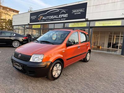 Gebraucht Fiat Panda Active 54 PS (39 kW) 2009 Orange samba/new batik Kleinwagen