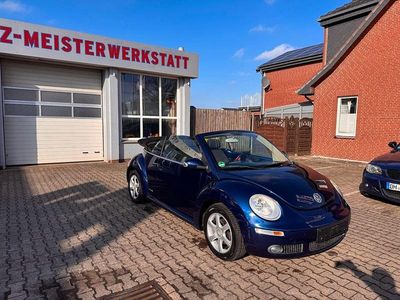 Gebraucht VW New Beetle Freestyle 105 PS (77 kW) 2010 Blau Kleinwagen