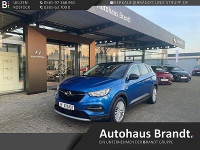 Blau Gebraucht 2020 Opel Grandland X Innovation SUV | 14.990 € (Guter Preis)
