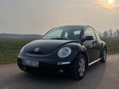 VW Beetle