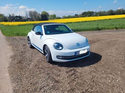 VW Beetle