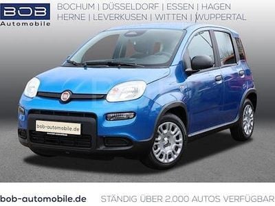 Blau Gebraucht 2024 Fiat Panda Cross Cross Kleinwagen | 13.450 € (Guter Preis)