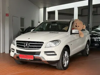 Gebraucht Mercedes ML250 204 PS (150 kW) 2011 Weiß SUV