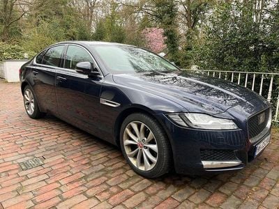 Gebraucht Jaguar XF Portfolio 300 PS (220 kW) 2019 Blau Limousine