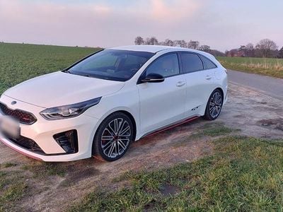 Gebraucht Kia ProCeed GT GT 204 PS (150 kW) 2019 Weiß Kleinwagen