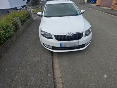 Gebraucht Skoda Octavia 105 PS (77 kW) 2014 Weiß Kombi