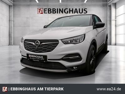 gebraucht Opel Grandland X 1.2 Turbo Design Line-Navi-Kamera-SHZ-LHZ