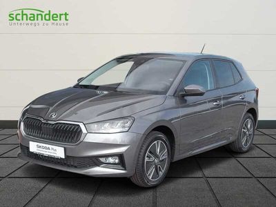 gebraucht Skoda Fabia Ambition 1,0 TSI LED Klima DAB PDC uvm.