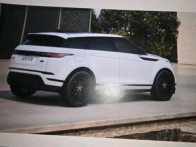 Weiß Gebraucht 2023 Land Rover Range Rover evoque SE Dynamic SUV | 39.500 €
