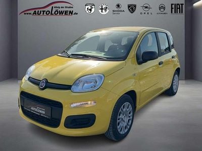 Neu Fiat Panda Pop 65 PS (47 kW) 2026 Gelb Kleinwagen