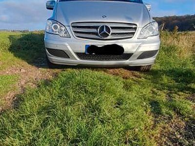 Mercedes Viano