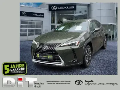 Gebraucht Lexus UX 250h 184 PS (135 kW) 2023 Terrane khaki SUV