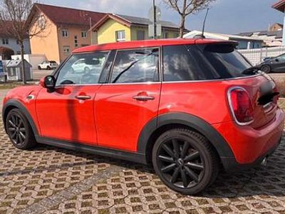 Gebraucht Mini Cooper 95 PS (69 kW) 2019 Rot Kleinwagen