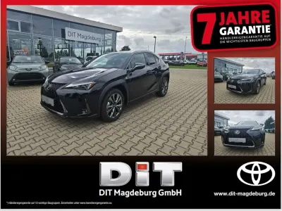 Gebraucht Lexus UX 300h