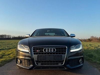 Usata Audi A5 240 CV (176 kW) 2010 Coupé