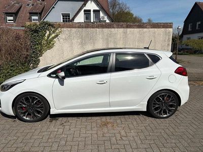Usata Kia Ceed GT-Track 204 CV (150 kW) 2014 Bianco Utilitaria