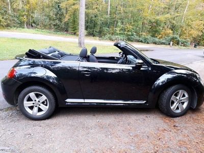 gebraucht VW Beetle Cabrio, 1,4l,TSI Automatik,150PS