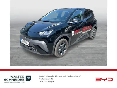 Gebraucht BYD Dolphin Surf Comfort 114 kW (156 PS) 2026 Polar nicht black Kleinwagen