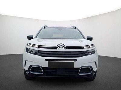 Usata Citroën C5 Aircross Feel 131 CV (96 kW) 2022 Bianco SUV